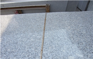Grey Granite G602 Granite Slabs for Tiles/Countertops/Skirting