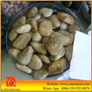 Yellow Polished Pebble Stone, Walkway Pebble Stone
