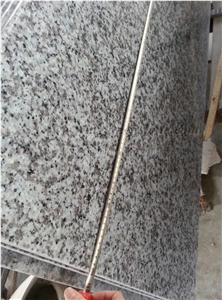 G439 Granite Countertop, China White Flower Granite Countertop, Natural Granite Countertop, Polished Granite Countertop, Grey Kitchen Countertop