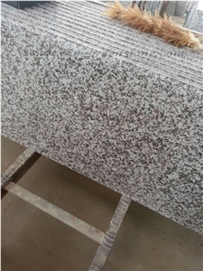 G439 Granite Countertop, China White Flower Granite Countertop, Natural Granite Countertop, Polished Granite Countertop, Grey Kitchen Countertop