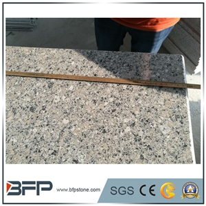 Chinese Grey Diamond Granite Slabs for Kitchen Countertop & Bar Tops