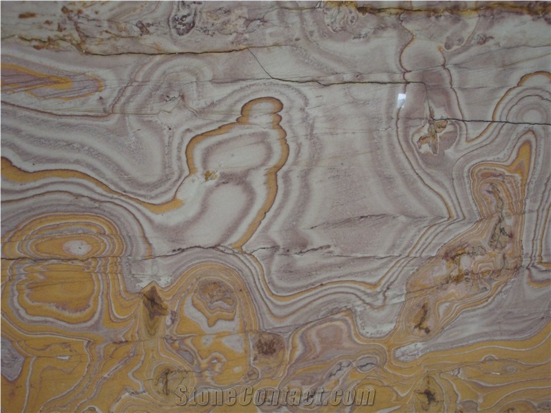 Exclusive Piccasso Quartzite/ Yellow Quartzite Slab/ Pakistan Piccasso Quartzite for Wall Tiles