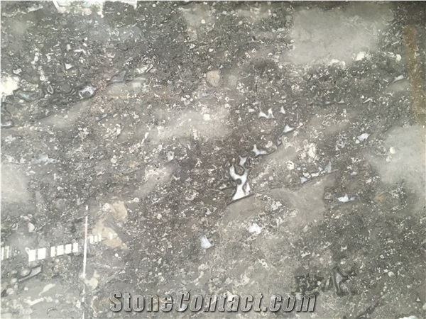 Scottish Gray Marble Tiles & Slabs, Grey Glan Polished Marble