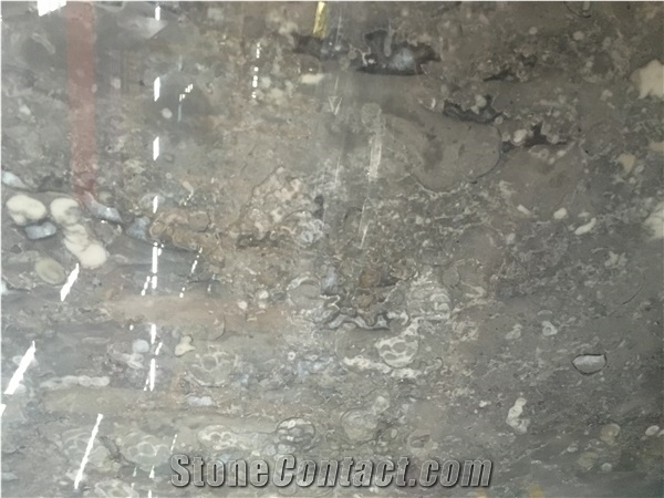 Scottish Gray Marble Tiles & Slabs, Grey Glan Polished Marble