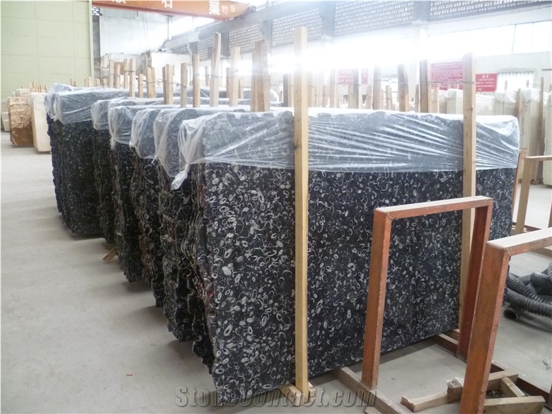 China Black Seashell Flower Marble Tiles & Slabs, Peacock Eye Marble Slabs, Sea Shell Polished Marble Slabs