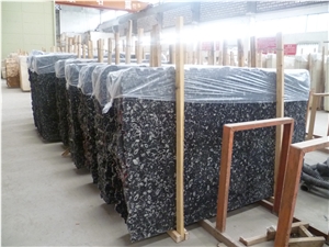 China Black Seashell Flower Marble Tiles & Slabs, Peacock Eye Marble Slabs, Sea Shell Polished Marble Slabs