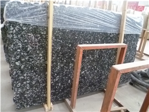 China Black Seashell Flower Marble Tiles & Slabs, Peacock Eye Marble Slabs, Sea Shell Polished Marble Slabs