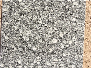 White Oyster, Sheet Polished, Chinese Granite Tiles & Slabs, Use for Floor, Wall and Pool Covering, Polished, Honed,Swan Cut White Oyster, Sheet Polished, Chinese Granite Tiles & Slabs, Use for Floor, Wall and Pool Covering, Polished, Honed,Swan Cut