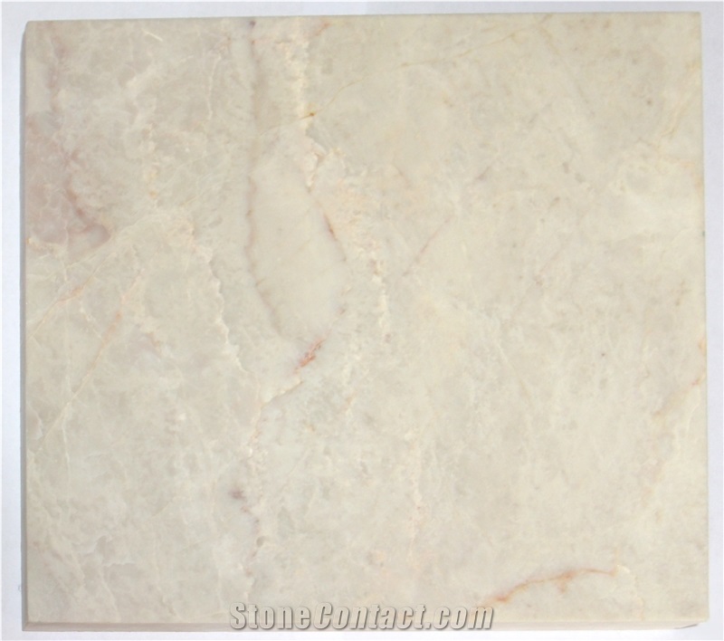 Turkey Shell Beige Marble Standard Slabs For Living Room Use
