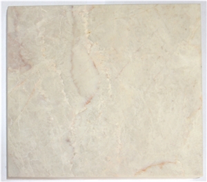 Turkey Shell Beige Marble Standard Slabs For Living Room Use