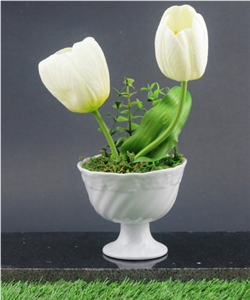 Ceramics Pots
