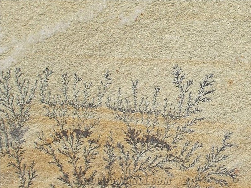 Fossil Mint Sandstone Tiles