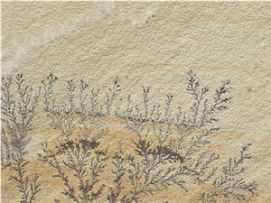 Fossil Mint Sandstone Tiles Fossil Mint Sandstone Tiles