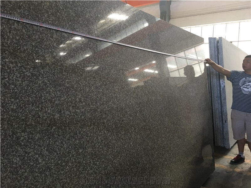 G664 Gangsaw Slab ,Misty Brown Slab Tiles