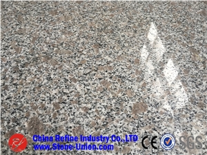 G383 Granite,G3783 Granite,Jade White,Pearl Blossom Of Zhaoyuan Granite,Pearl Flower Granite,Pearl White Granite,Zhaoyuan Flower Granite
