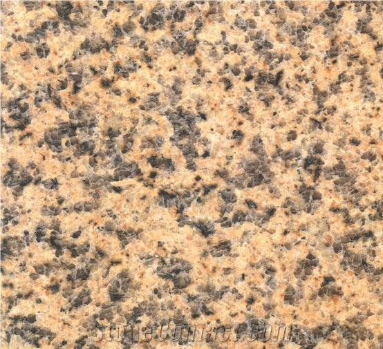 Golden, Granite Tiles & Slabs, Granite Wall and Floor Covering, China Yellow Granite