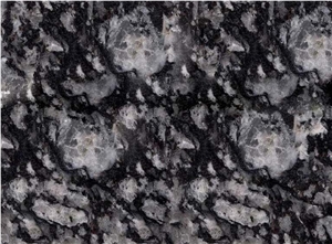 Oyster Pearl, Granite Tiles & Slabs, Granite Wall and Floor Covering, Granite Flooring, India White Granite