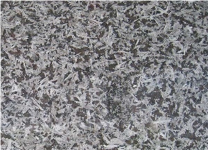 Saint Louis Monchique St. Louis, Granite Floor Covering, Granite Slabs & Tiles, Granite Flooring, Granite Floor Tiles, Granite Skirting, Portugal Brown Granite
