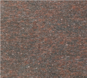 Uijinni Brown, Granite Wall Covering, Granite Floor Covering, Granite Tiles & Slabs, Granite Flooring, India Red Granite Uijinni Brown, Granite Wall Covering, Granite Floor Covering, Granite Tiles & Slabs, Granite Flooring, India Red Granite