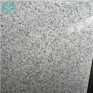 Chinese Polished Hubei G603 Padang Light Grey Granite,Sesame White,Bianco Sardo/Bella White/ Floor Covering/Wall Tiles/Building Stone/Decoration Indoor and Outdoor Stone/Small Slab