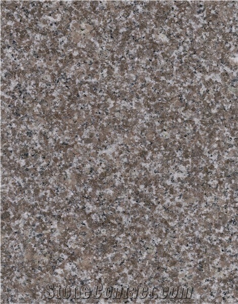 New G664 Pink, Brown Granite, Porrino G363 Shandong Cheap Building Stone in Stair Steps with Anti Slip, Bullnose Round Long Edge, Treads and Risers