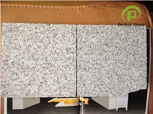G603 Chinese Granite / White Granite with Black Spots / Super White Granite /Flamed Granite Price / Cut to Size Granite / Paver Granite