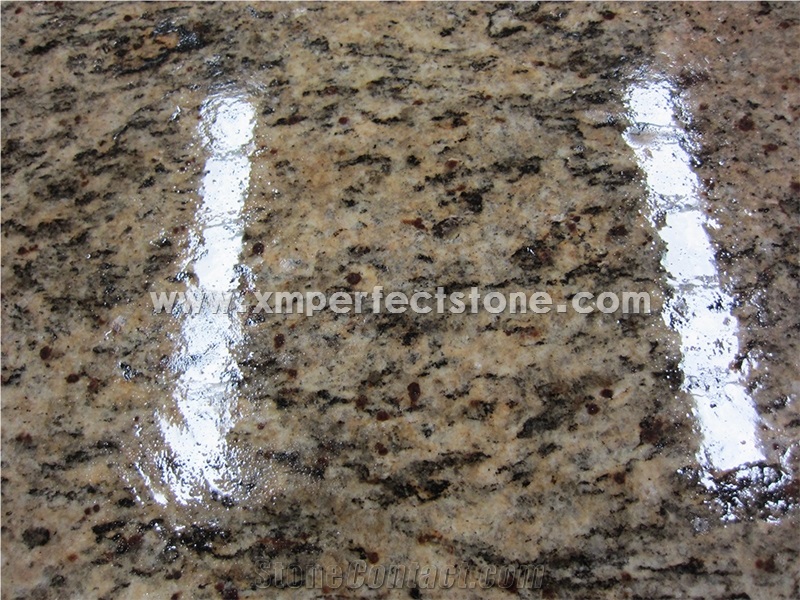 Santa Cecilia Classic Granite Slabs/Brazil Gold Granite for Floor/Polished Juparana Santa Cecilia Granite