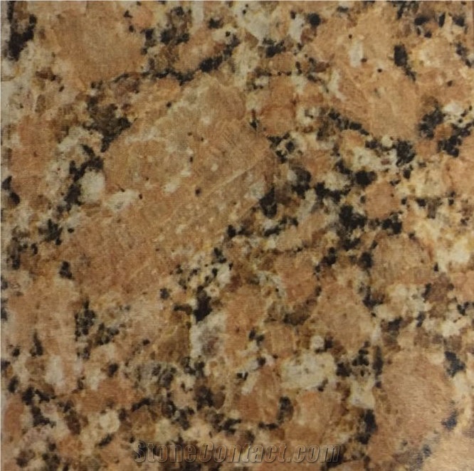 Rojo De Salto Granite Slabs & Tiles, Argentina Pink Granite