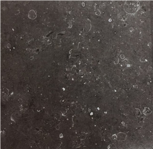 Tournai Stone Limestone Tiles, Belgium Black Limestone