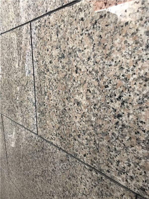 New Xili Red Granite Tiles/Granite Slabs/Granite Flooring/Granite Floor Tiles/Granite Slabs/Granite Wall Tiles/Granite Wall Covering