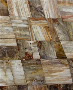Brown Petrified Wood Semiprecious Stone Slabs