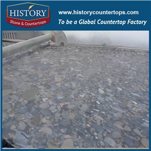 Imported Brazil Grainte Pebble Green Shells Fossil Of Style, Be Used Setting Wall/The Ground Local Ornament/Furniture Local Temps, Best Quality and Reasonable Price to Hot Sales the World