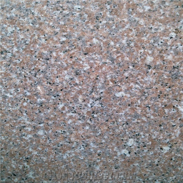 China Cheap Zhangpu Red G648 Granite Slab & Tile with Polished/Flamed for Flooring Covering Wall Cladding