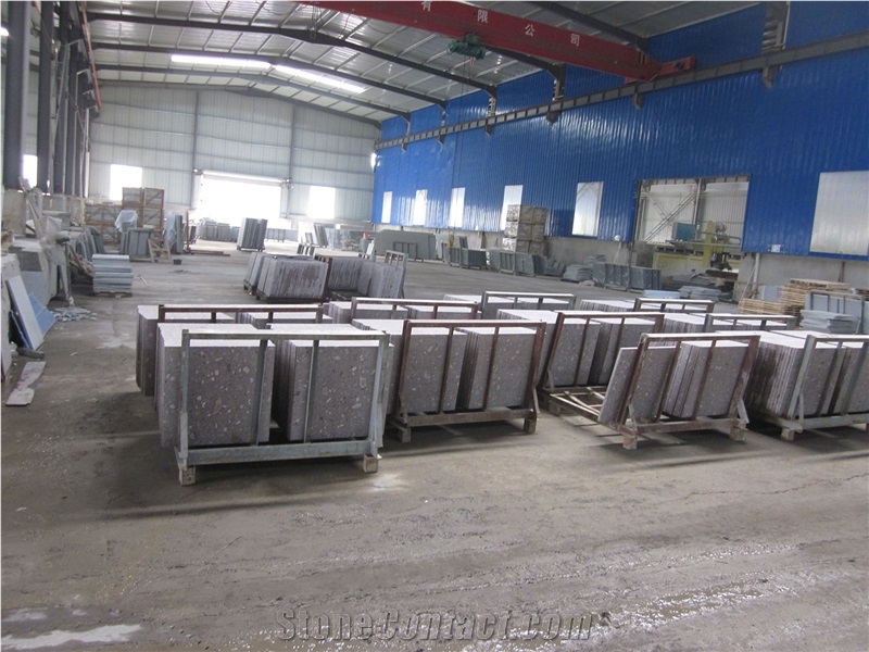 Purple Shell/Violet Ocean Blue Granite Polished Tiles for Floor