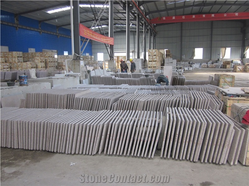 Purple Shell/Violet Ocean Blue Granite Polished Tiles for Floor