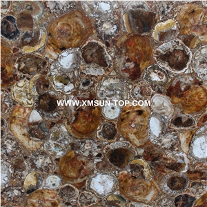 Round Petrified Wood Gemstone Slabs/Petrified Wood Semiprecious Stone Slabs/Brown Semi Precious Stone Panels/Semiprecious Stone Floor&Wall Tile