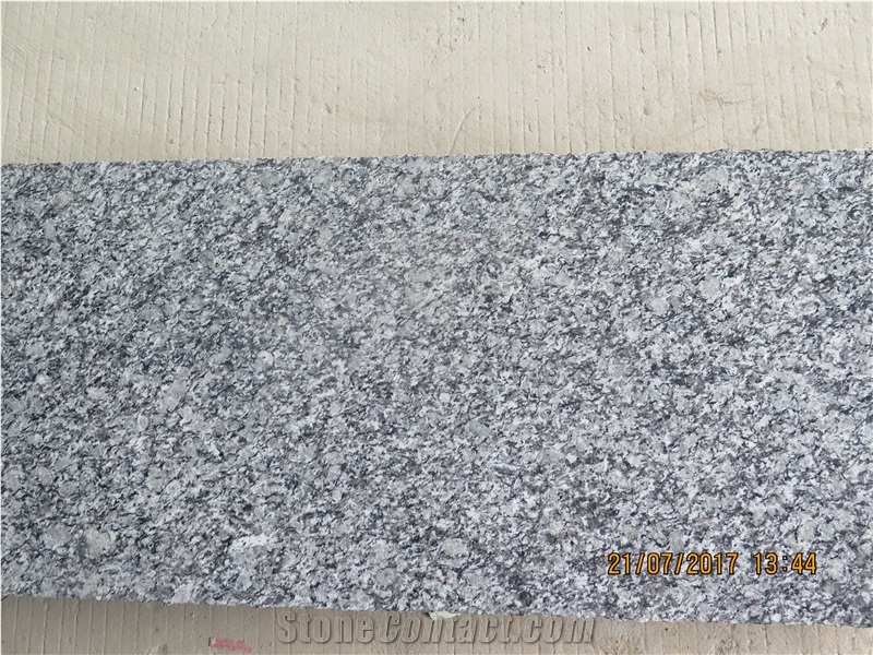 China Cheap Granite White Oyster White Wave Oyster Pearl Granite Spray White Sea Wave G423 Granite Polished Flamed Tile Slab