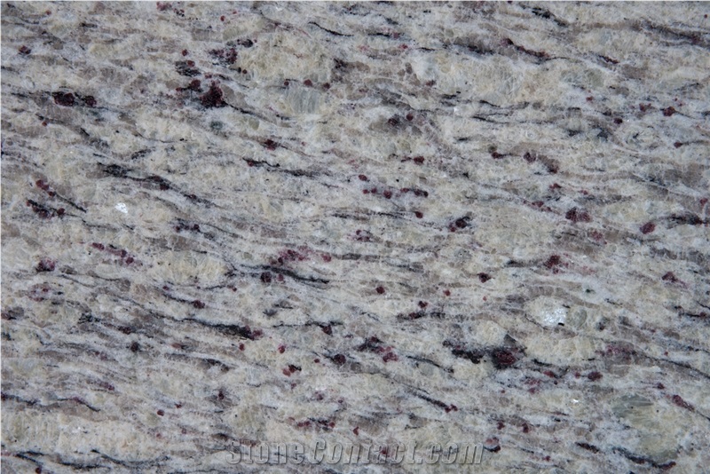 Giallo Ornamental Light Slabs, Brazil White Granite