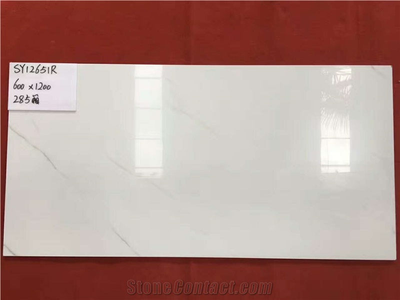 600*1200mm Building Material Moisture-Proof Matte Rustic Glazed Tile