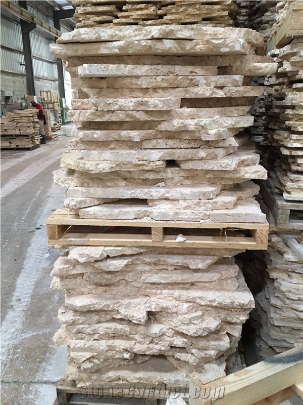 Classic Coral Stone Flagstone For Wall Cladding