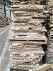 Classic Coral Stone Flagstone For Wall Cladding