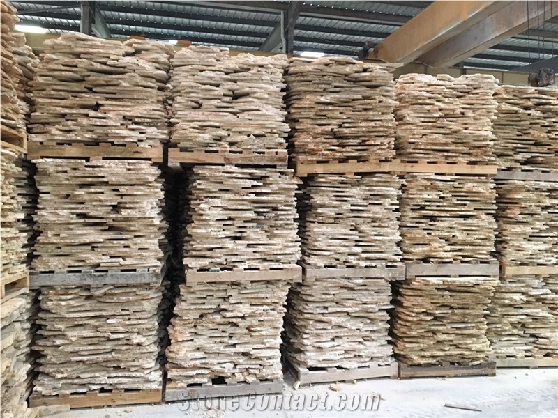 Classic Coral Stone Flagstone For Wall Cladding