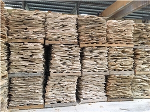 Classic Coral Stone Flagstone For Wall Cladding