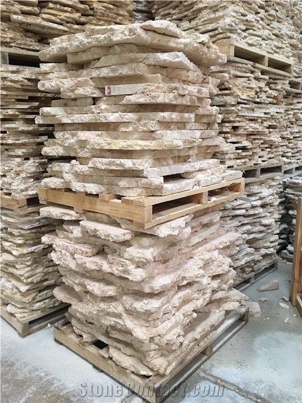 Classic Coral Stone Flagstone For Wall Cladding