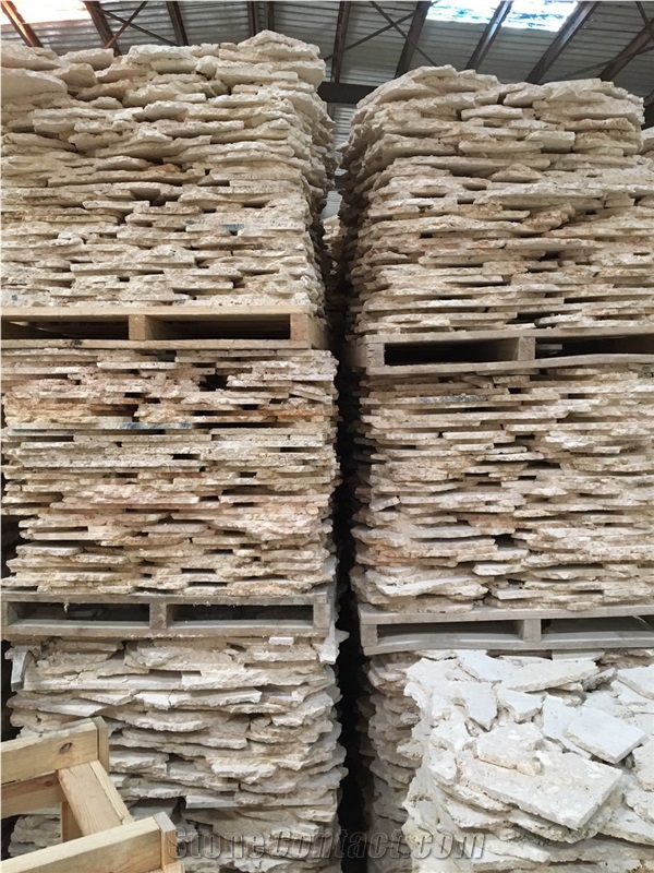 Classic Coral Stone Flagstone For Wall Cladding