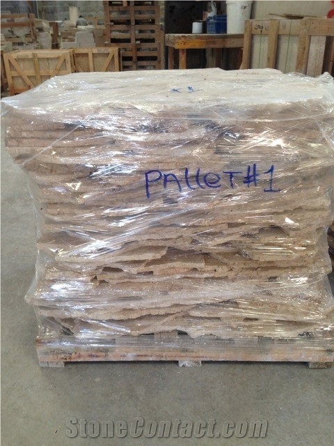 Classic Coral Stone Flagstone For Wall Cladding