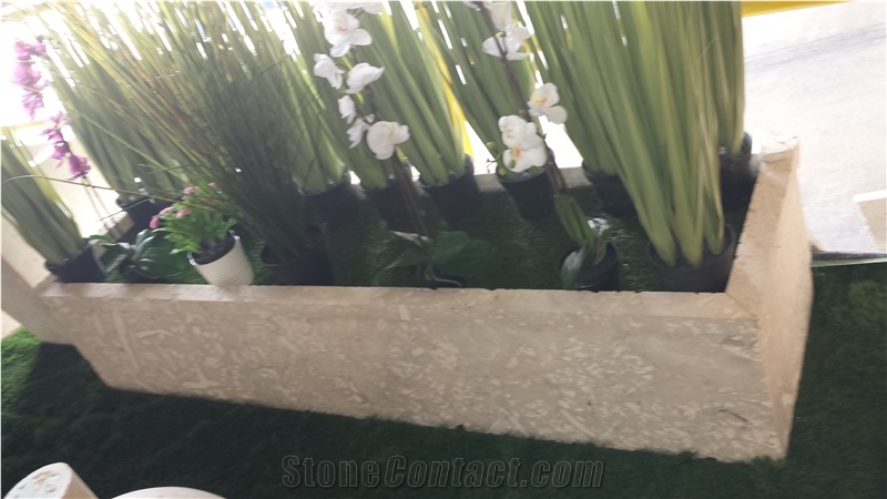Dominican White Coral Stone Planter