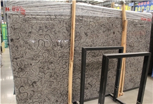 Oracle Marble Black Oracle Turtle Venato Big Slab Tile