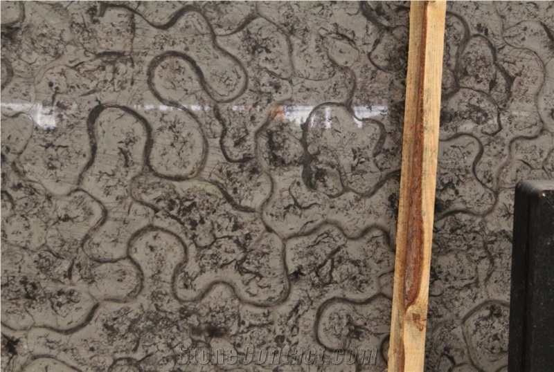 Oracle Marble Black Oracle Turtle Venato Big Slab Tile