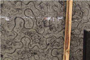 Oracle Marble Black Oracle Turtle Venato Big Slab Tile